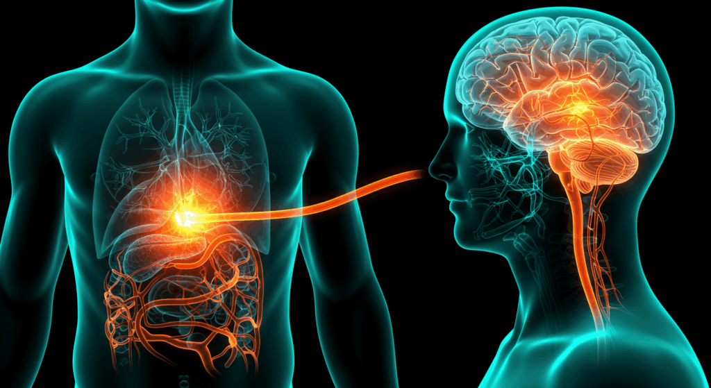 Quando l'istinto ti guida, è il tuo intestino che parla al tuo cervello.